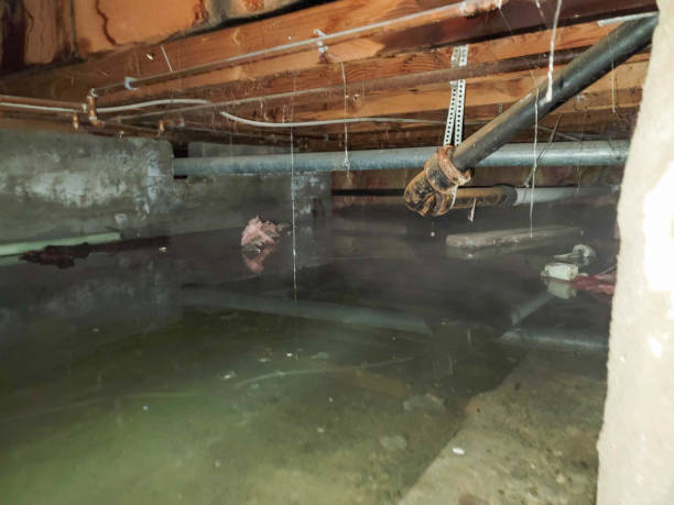Best Water damage restoration insurance claims  in Wilkinson Heights, SC
