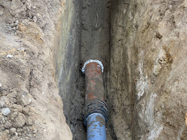 Best 24/7 water damage repair  in Wilkinson Heights, SC