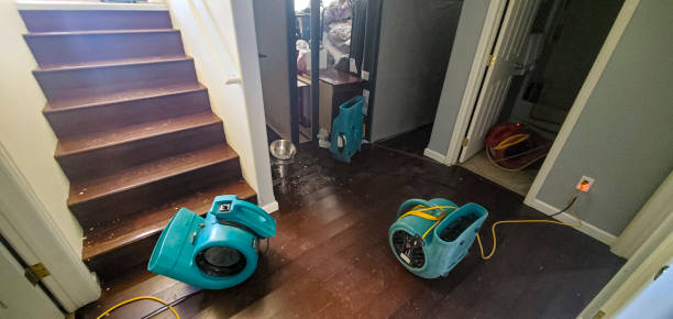 Best Ceiling water damage repair  in Wilkinson Heights, SC