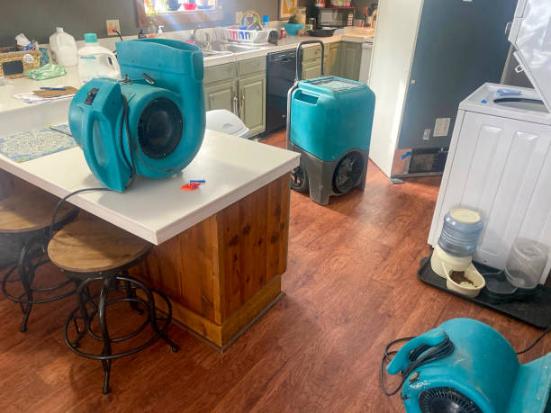 Best Water damage restoration services  in Wilkinson Heights, SC