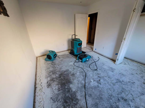 Best Flood restoration services  in Wilkinson Heights, SC