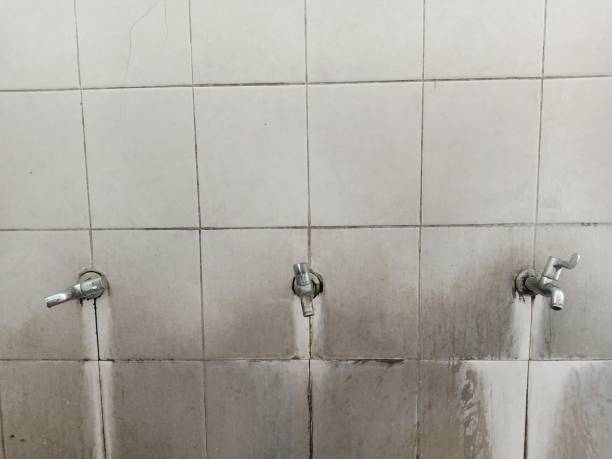Best Ceiling water damage repair  in Wilkinson Heights, SC