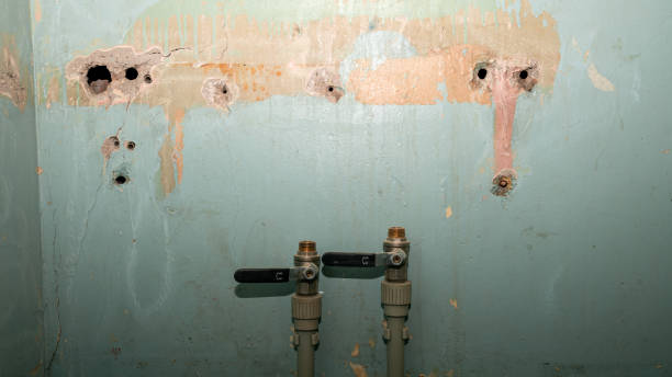Best Local water damage restoration  in Wilkinson Heights, SC