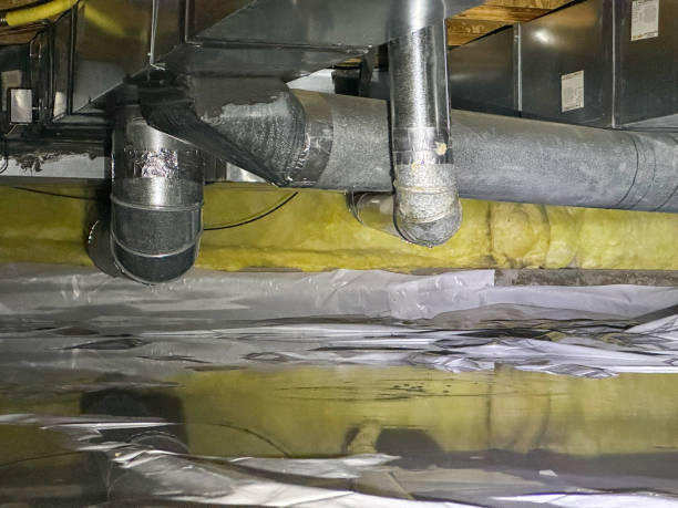 Best Mold removal after water damage  in Wilkinson Heights, SC