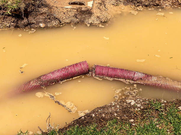 Best Water damage contractors near me  in Wilkinson Heights, SC